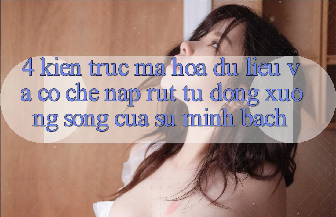 4. Kiến Trúc Mã hóa dữ liệu Và Cơ Chế Nạp Rút Tự Động: Xương Sống Của Sự Minh bạch