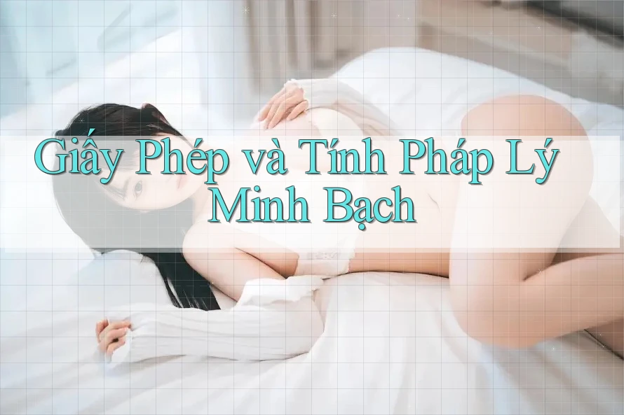 Giấy Phép và Tính Pháp Lý Minh Bạch