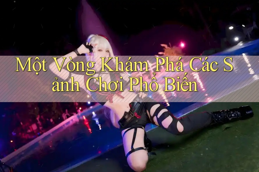 Một Vòng Khám Phá Các Sảnh Chơi Phổ Biến