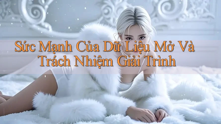 Sức Mạnh Của Dữ Liệu Mở Và Trách Nhiệm Giải Trình