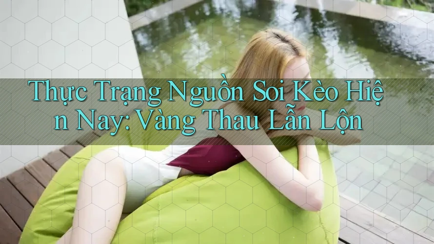 Thực Trạng Nguồn Soi Kèo Hiện Nay: Vàng Thau Lẫn Lộn