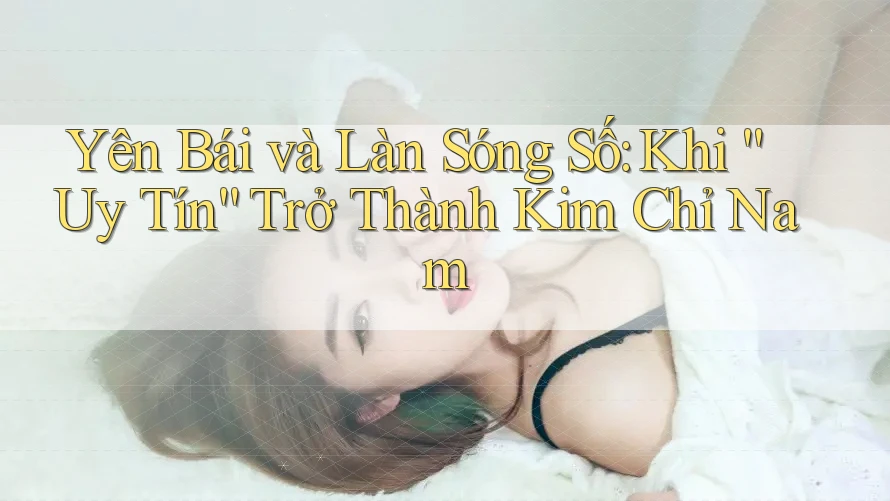 Yên Bái và Làn Sóng Số: Khi “Uy Tín” Trở Thành Kim Chỉ Nam